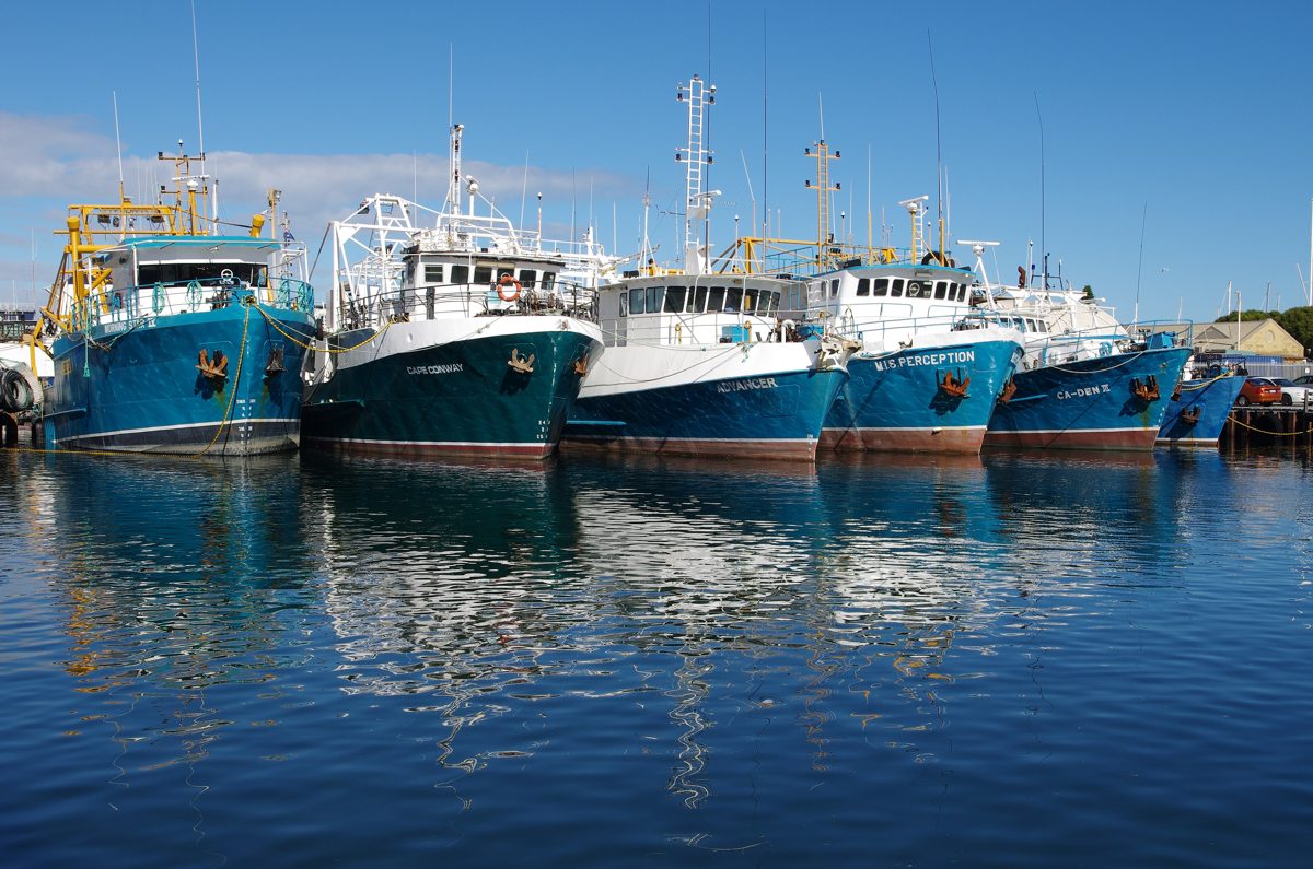 Fishing boats in Fremantle harbour