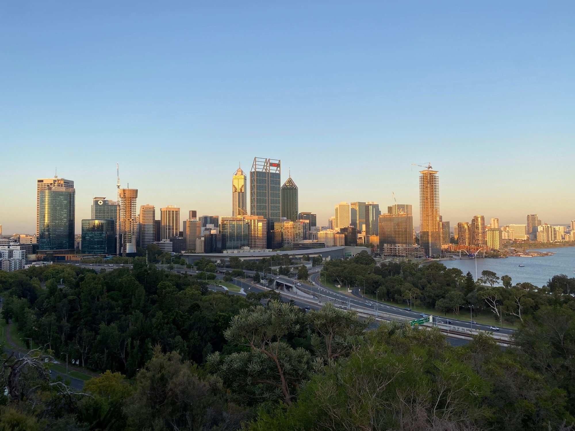 The city skyline from Kings Park at sunset